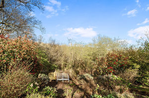 Photo 51- click for photo gallery